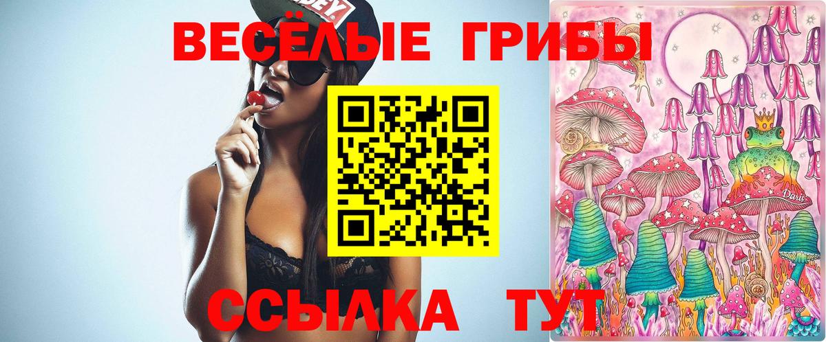 Псилоцибиновые грибы Psilocybe Горячий Ключ